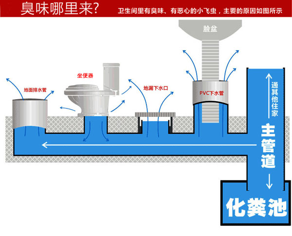 游艇会yth0008-游艇会线路检测中心_活动1526